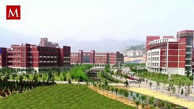 Nuevo virus detectado en China: Esto es lo que sabe sobre sus síntomas y complicaciones