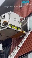 Firefighters save three people and a dog from e-bike battery blaze