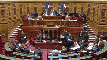 Le sénateur Eric Jeansannetas.défend la suppression du SNU