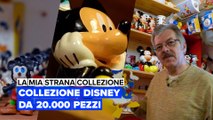 La mia strana collezione: Collezione Disney da 20.000 pezzi