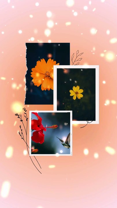 Relaxing Nature Scenes