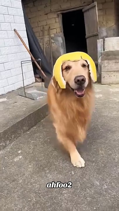 Findest du mich schön?