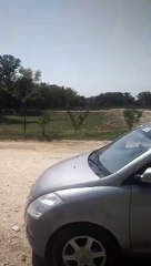 received_1131294381516809