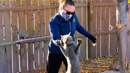 Cat Whose Family Left Him Behind Gets Rescued