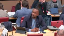 Commission des affaires économiques : Examen du projet de loi d’urgence pour Mayotte (suite) - Mardi 14 janvier 2025