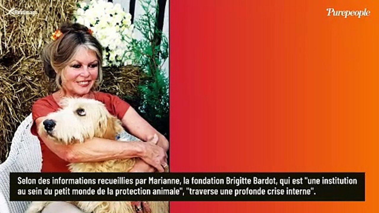 Fondation Bardot : pourquoi l'avenir du grand bébé de Brigitte Bardot semble incertain ?