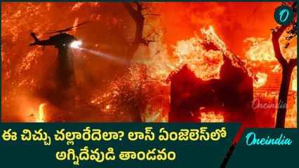 Los Angeles Wildfires | అగ్నికి ఆహుతైన అందమైన నగరం | America | California