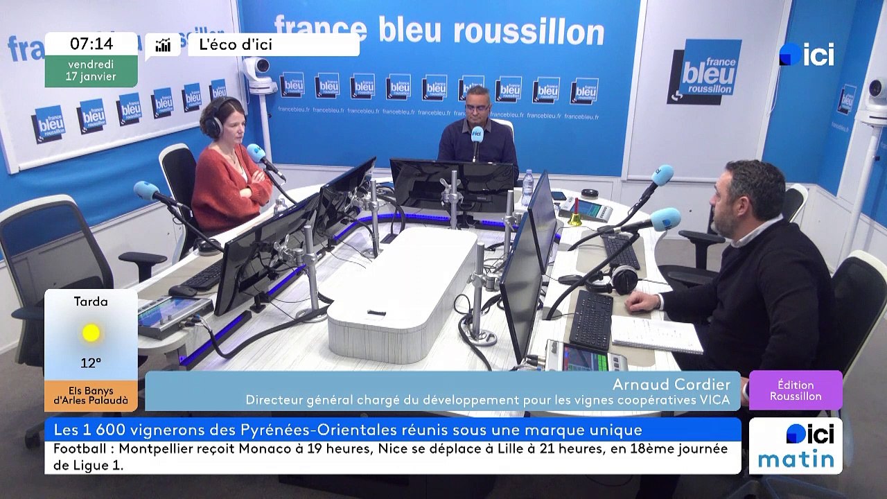 Les vignes du vent  l'union et le marketing pour sauver des vignerons