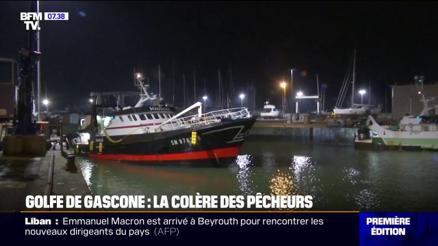 La colère des pêcheurs face à l'interdiction de la pêche dans le golfe de Gascogne pour protéger les dauphins