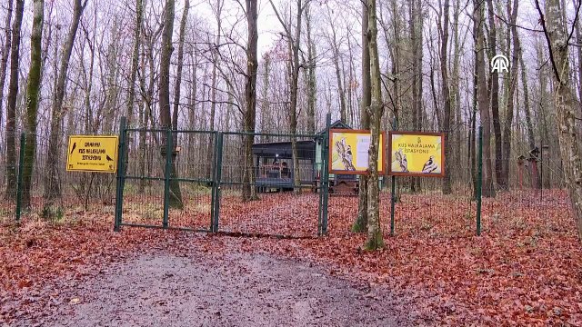 Ormanya'da kurulan istasyonda geçen yıl 1718 kuş halkalandı
