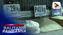 P38/kg na bigas, mabibili na sa Kadiwa ng Pangulo kiosks simula ngayong araw