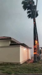 Los Angeles Fire (2025)