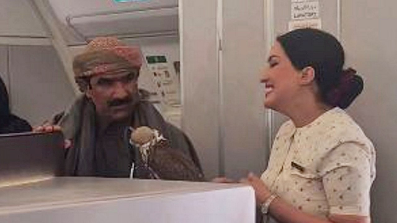 Business-Class-Passagiere in Katar nehmen FALCONS im Verkehrsflugzeug mit
