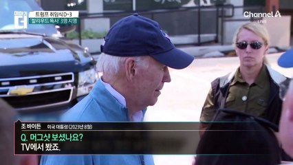 트럼프 47대 대통령 공식 사진, 과거 머그샷과 유사