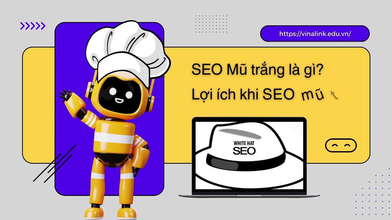 SEO Mũ Trắng Tại Vinalink Academy
