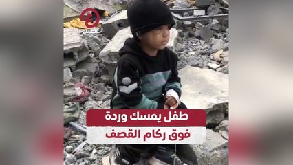 طفل يمسك وردة فوق ركام القصف
