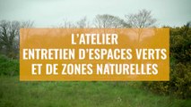 Entretien de zones naturelles et d'espaces verts à Brest