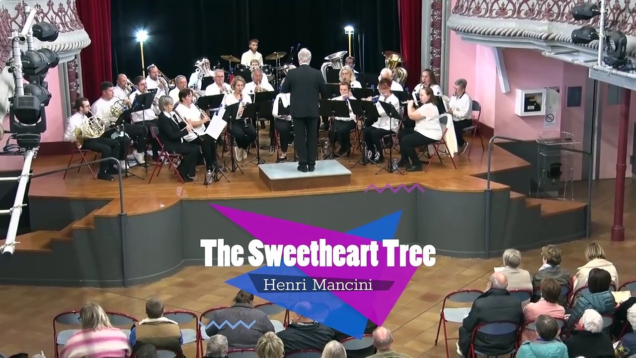 magazine _ concert de l'harmonie du 11 01 25