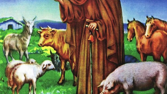 Perros famosos o un canario escapista, entre las mascotas de los políticos de C-LM