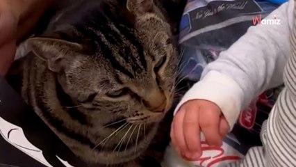 Le chat interrompt une séance de lecture : la réaction du bébé est tout simplement adorable