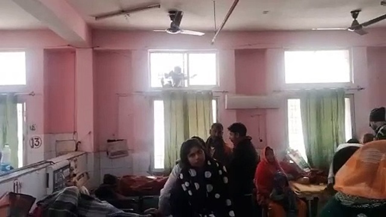 *हाल ऐ मेडिकल कॉलेज कुशीनगर* ठंड और बंदरों का आतंक, टूटी खिड़कियों से आ रही बर्फीली हवा, झांक रहे बंदर मेडिकल कॉलेज में मरीजों की दुश्वारी