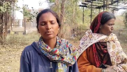 दुहेरी हत्याकांडाने बीड हादरलं! दोन सख्ख्या भावांची जमावाने केली हत्या