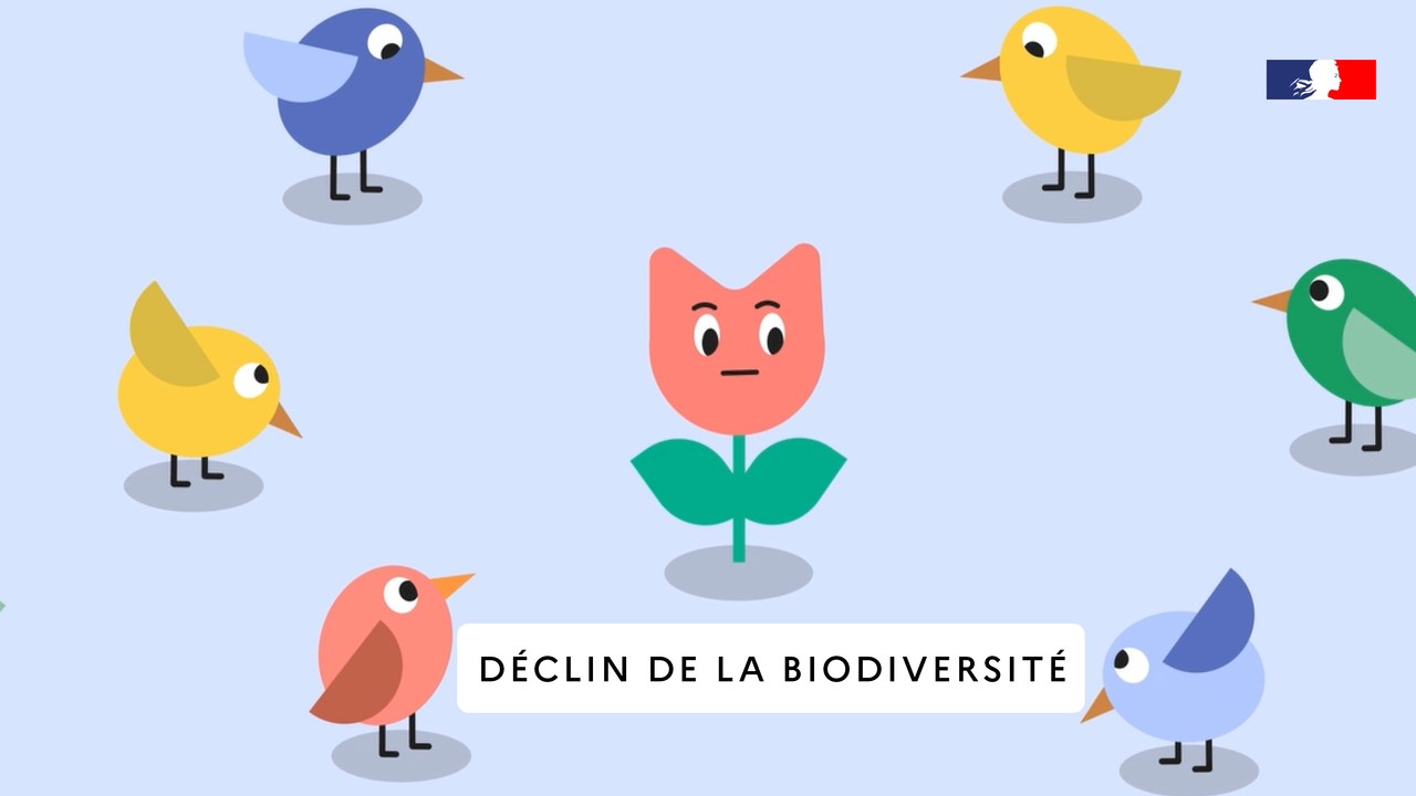 État des lieux sur le déclin de la biodiversité en vidéo – L’État de l’environnement en France – Rapport 2024 [CGDD]