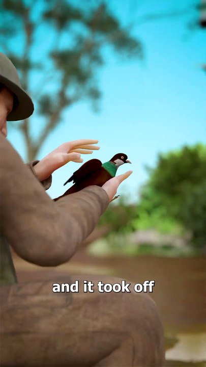 WW2 Pigeon Hero Saved 100 Lives 😮(1080P_HD)