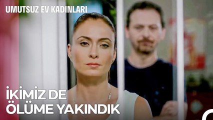 Elif ve Ömer Evliliği Sallantıda - Umutsuz Ev Kadınları