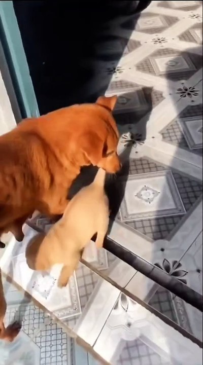 Es ist Zeit zum Stillen, meine Kinder. Kommt zu mir zum Stillen.