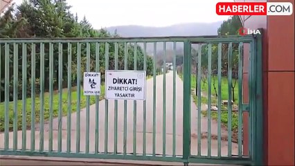 Barınaktan Kaçan Ayıyı Yakalama Çalışmaları Devam Ediyor