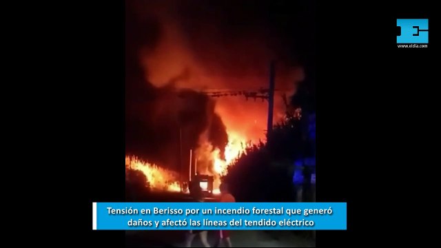 Tensión en Berisso por un incendio forestal que generó daños y afectó las líneas del tendido eléctrico