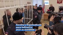 Russia jails three Navalny lawyers for 'extremism' in a crackdown of dissent