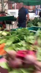 Side-Splitting Prank Reactions