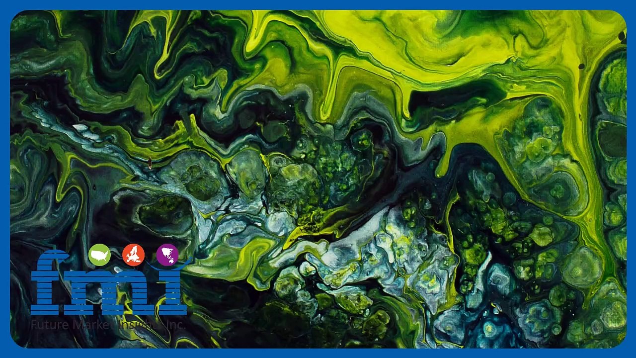 Why Algae Oil is the Future of Nutrition & Biofuels – Market Insights 2024