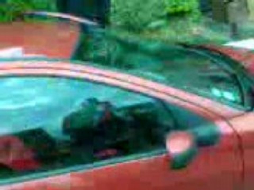 voiture a celine casser snif