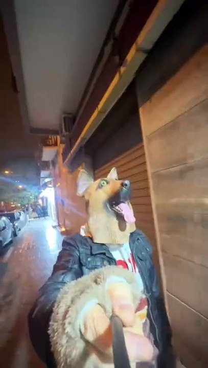 Laugh Until You Cry With These Funniest Prank Reactions