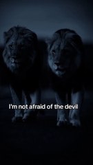 Rise & Inspire: Leads Like a Fearless Lion