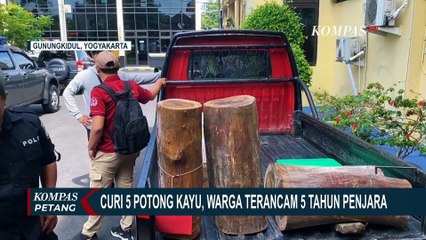Polisi Tangguhkan Penahanan Pelaku Pencurian 5 Potong Kayu di Gunungkidul