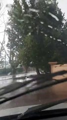 Alerta en Luján de Cuyo: Tormenta Intensa Azota la Región ⛈️