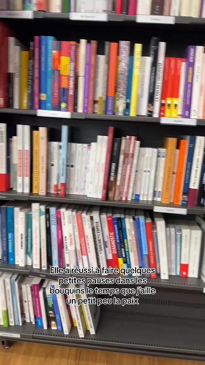J’accompagne mon humaine faire des achats à cultura