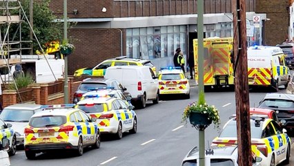 Woman dead and two-year-old girl 'seriously injured' as man arrested in Surrey