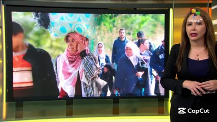 ELEVADA TASA DE INMIGRANTES EN ALEMANIA ROZANDO EL 20%, ESTARÍA PROVOCANDO LA AGUDIZACIÓN DE LOS SENTIMIENTOS XENÓFOBOS