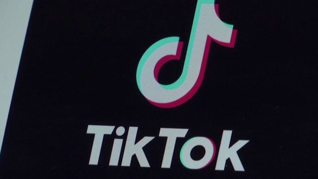 미국에서 중단 위기 맞은 틱톡, 트럼프가 구제할 수도 / YTN