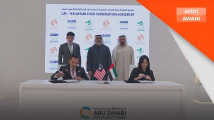Pahang dan UAE ganding bahu lindungi spesies harimau Malaya
