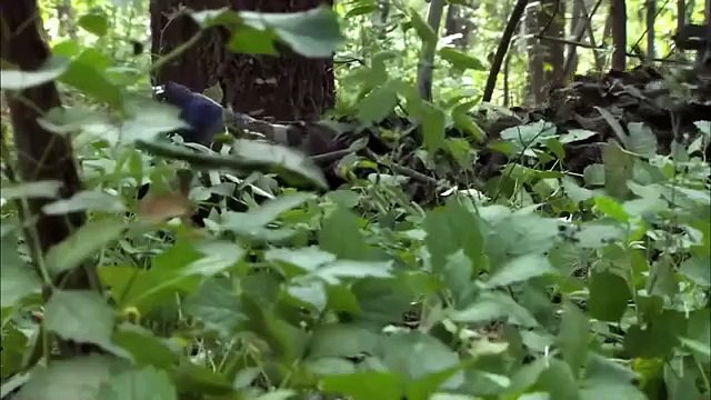 2024 Special Forces Movie: a captured SF soldier strikes back fiercely, eliminating all terrorists