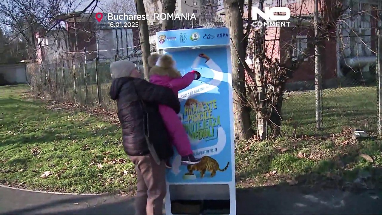 Des distributeurs automatiques dans les parcs de Bucarest pour aider les chats sans abri et préserver l'environnement