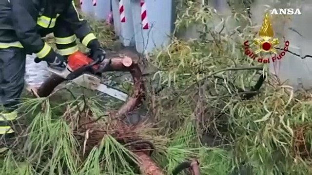 Maltempo in Sicilia, 315 interventi dei vigili del fuoco e raddoppio dei soccorsi