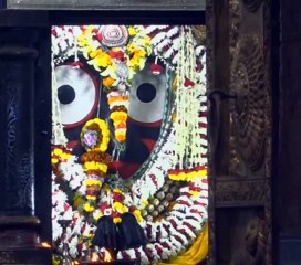 Jay Jagannath new vlog Viral 🎉 🙏 Puri Jagannath bhagwan✨🙌🙌🙌🙌