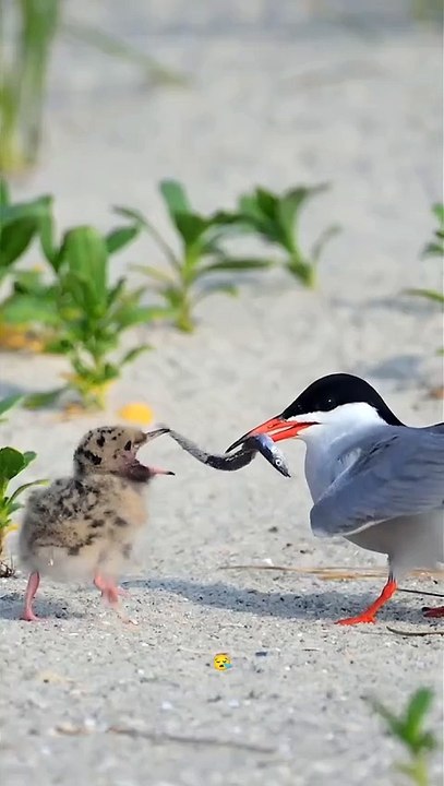 Beauty of nature